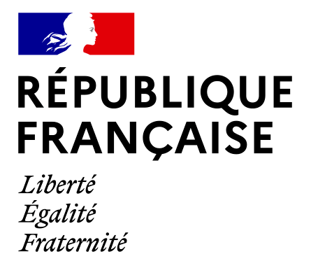 Gouvernement Français